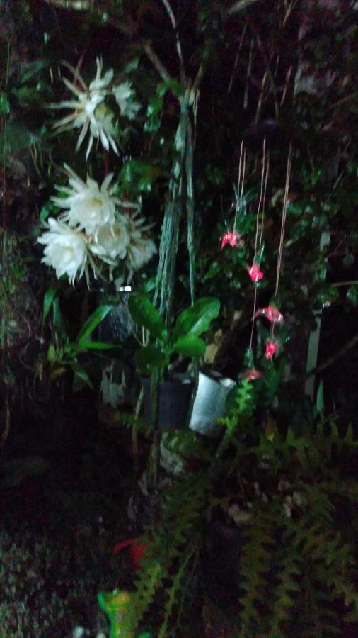 Um Cantinho Especial Casa de férias